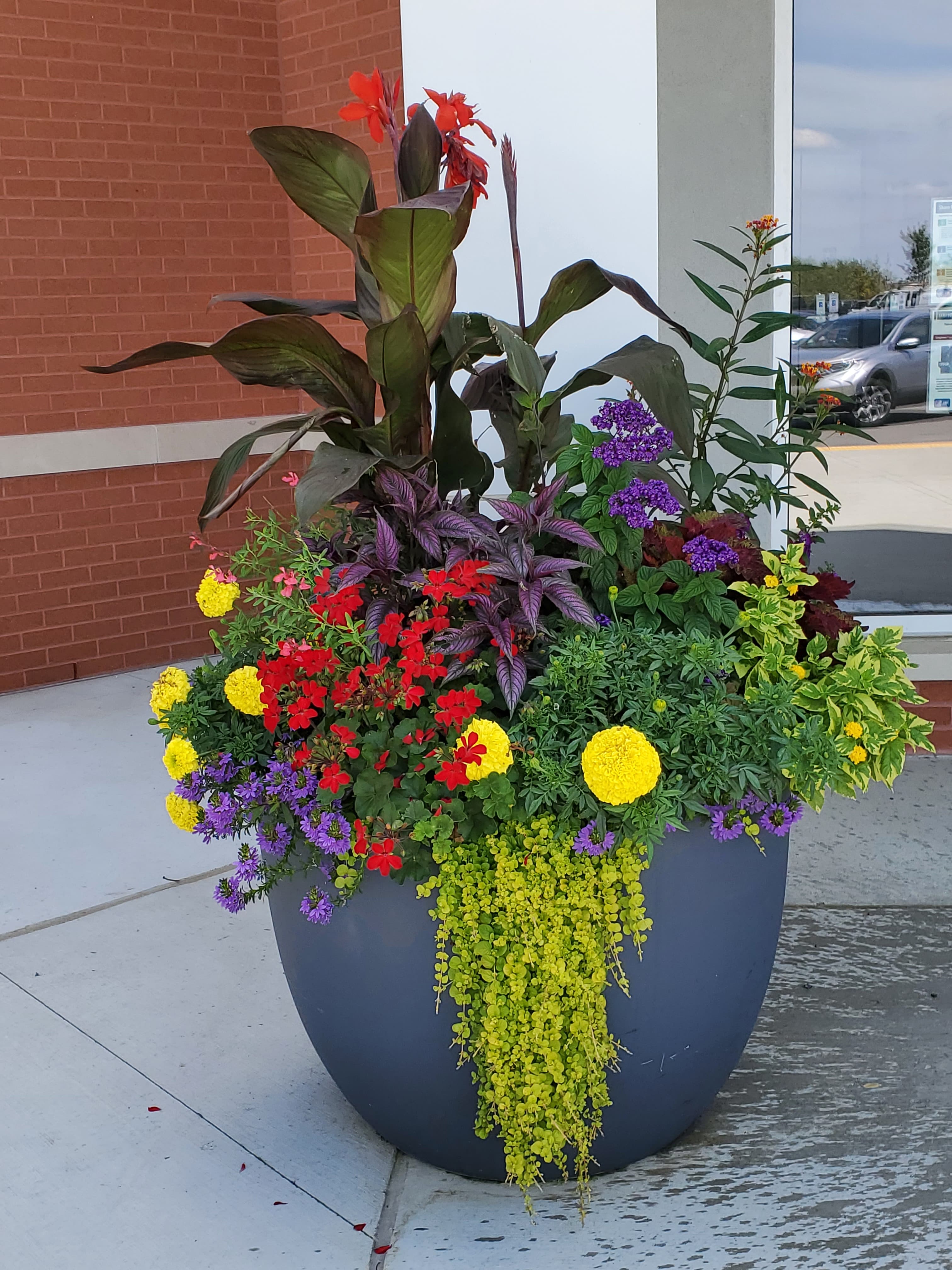 Large round planter overflowing with vibrant red, yellow, and purple flowers and lush foliage.