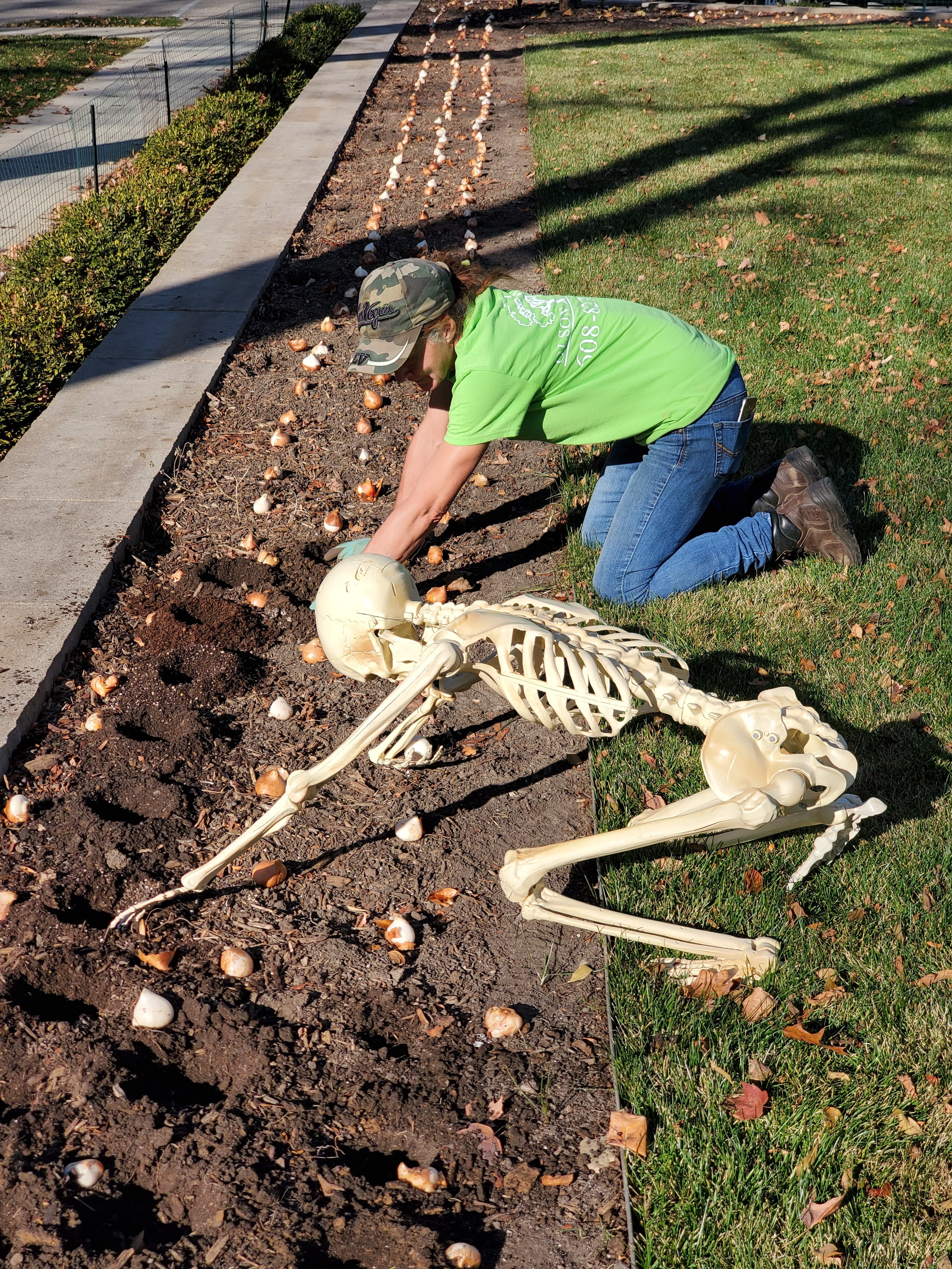 A person and a life-sized skeleton kneeling together to plant flower bulbs in dirt.
