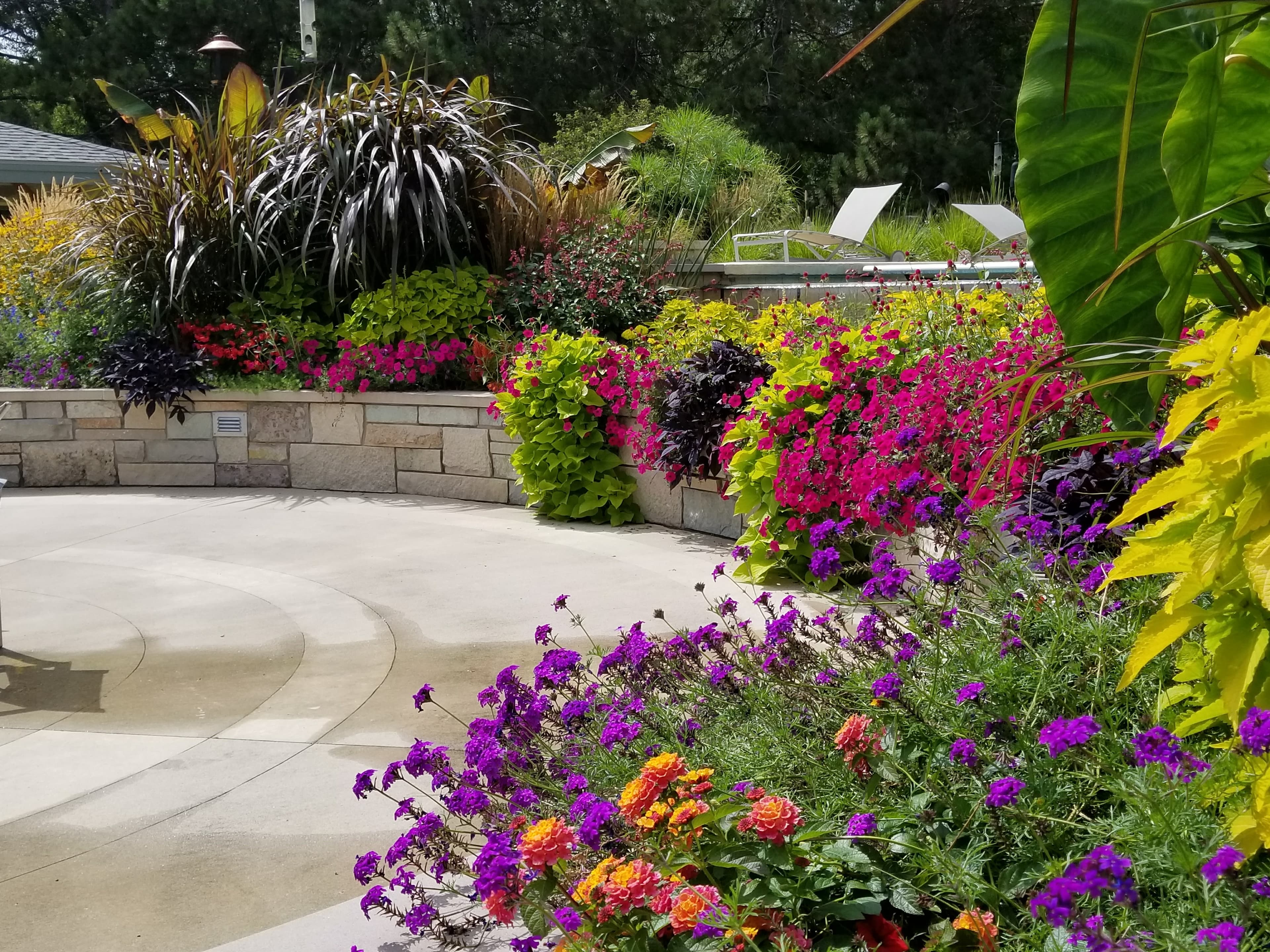 Lush garden with pink and purple flowers bordering a curved stone wall and patio.